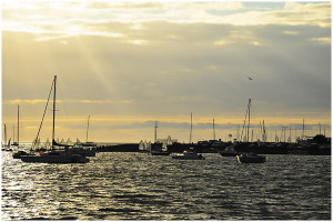 marina